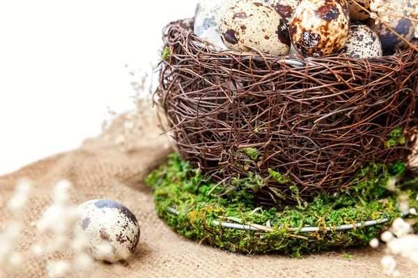 复活节装饰与蛋在巢和棉花在白色大理石背景 — 图库照片