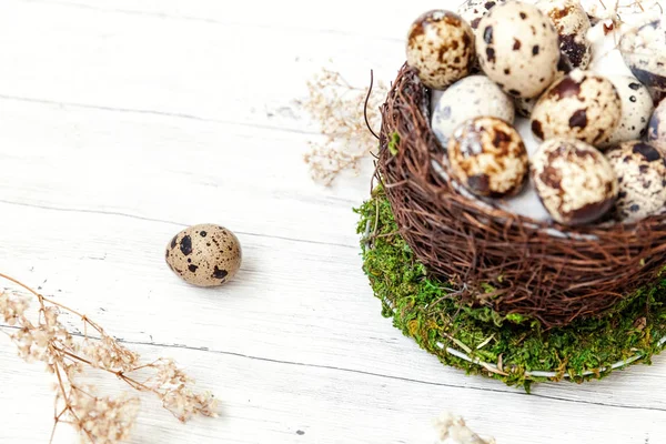 复活节装饰与蛋在巢杯子在白色大理石背景 — 图库照片