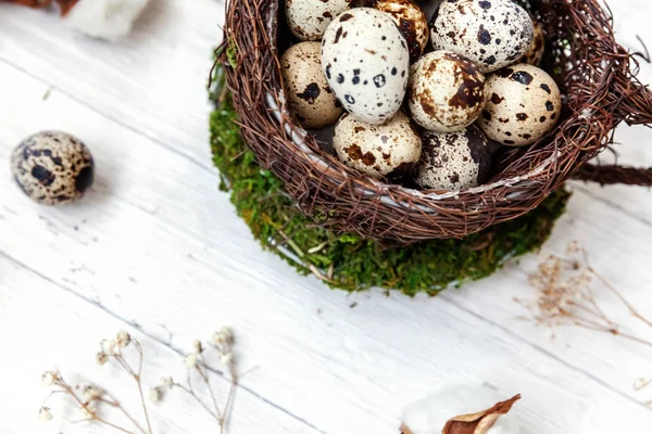 Decoração de Páscoa com ovo na xícara de ninho e algodão no fundo de mármore branco — Fotografia de Stock