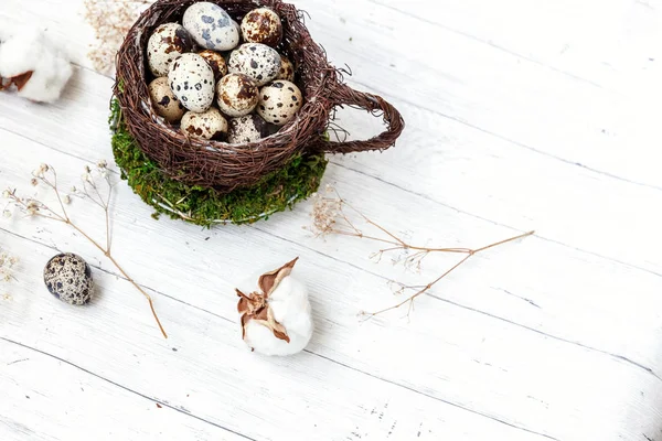 复活节装饰与蛋在巢杯子和棉花在白色大理石背景 — 图库照片
