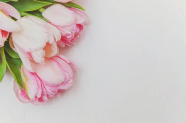 Buket taze Pembe Lale çiçek rustik Beyaz ahşap zemin üzerinde