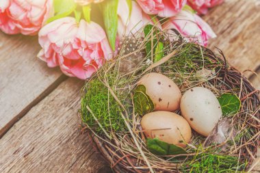 Paskalya yumurta yuva rustik ahşap zemin üzerine yosun ve pembe taze Lale buketi ile