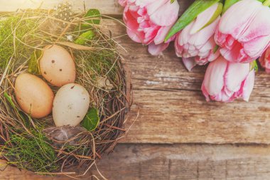 Paskalya yumurta yuva rustik ahşap zemin üzerine yosun ve pembe taze Lale buketi ile