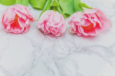 Buket taze Pembe Lale çiçek mermer zemin üzerine