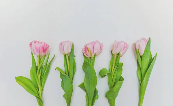 Ramo de flores frescas de tulipanes rosados sobre fondo rústico de madera blanca — Foto de Stock