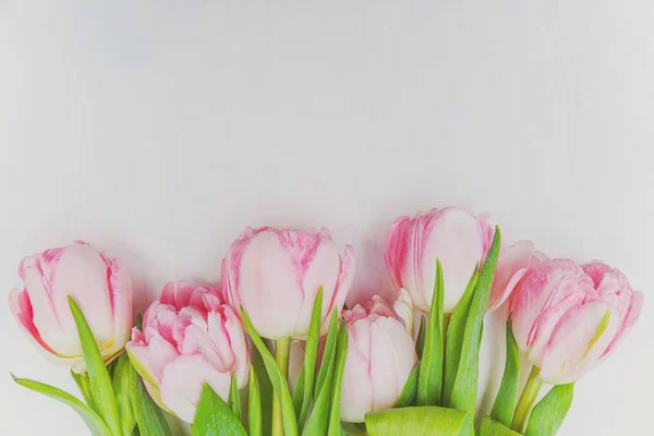 Bouquet of fresh pink tulips flowers on rustic white wooden background — Stock Photo, Image