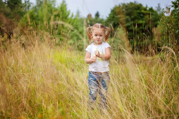 Boldog aranyos kislány szabadtéri portréja. Gyerek palying park, kert, rét — Stock Fotó