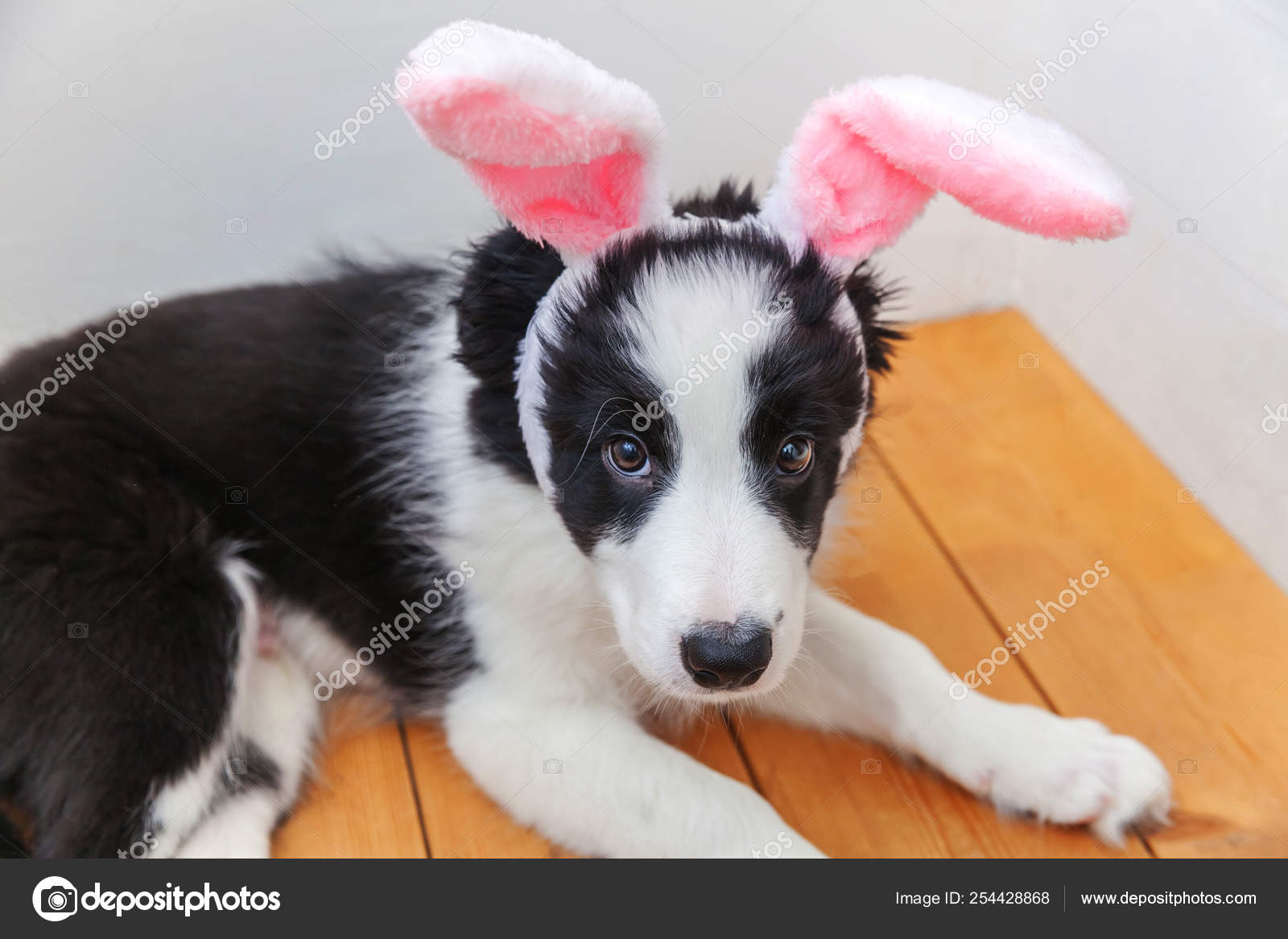 happy easter puppy