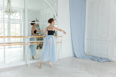 Dans sınıfında genç klasik bale dansçısı kadın