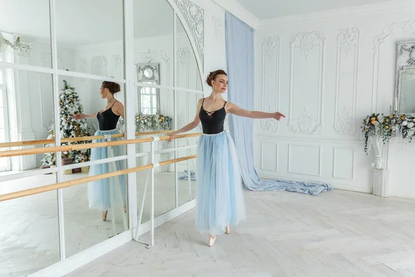 Dans sınıfında genç klasik bale dansçısı kadın
