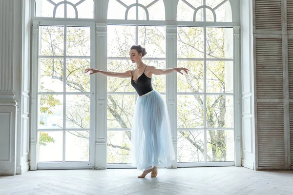 Young classical ballet dancer woman in dance class