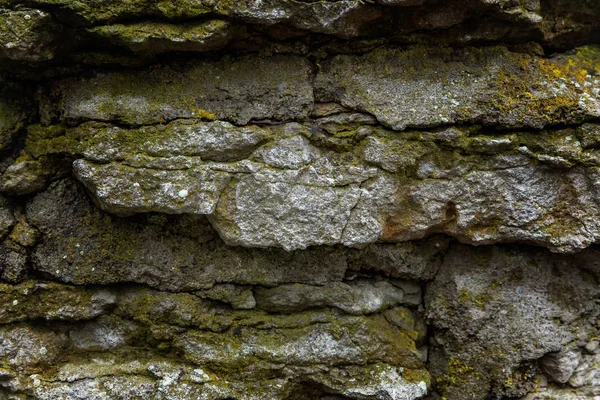 Stone are covered with green moss Royalty Free Stock Images