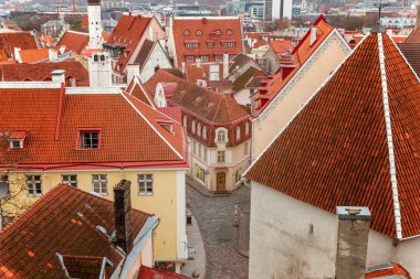 Eski şehir Tallinn üst görünümü