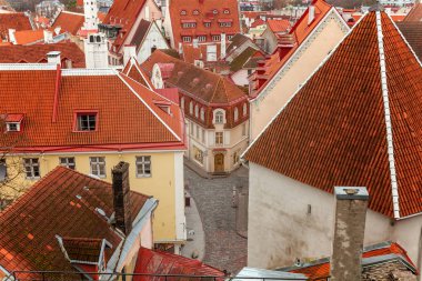 Eski şehir Tallinn üst görünümü