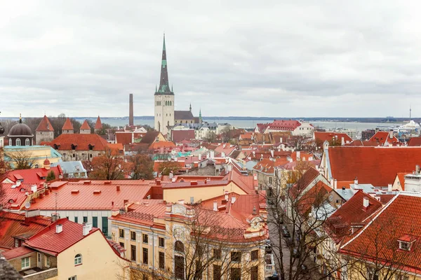 Eski şehir Tallinn üst görünümü