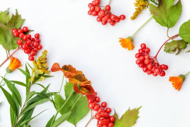 Sonbahar bitkiler Viburnum çilek, turuncu ve beyaz arka planda sarı çiçekler yapılmış sonbahar kompozisyon çerçevesi