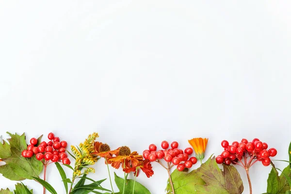 Herfst samenstelling frame gemaakt van de herfst planten Viburnum bessen, oranje en gele bloemen op witte achtergrond — Stockfoto