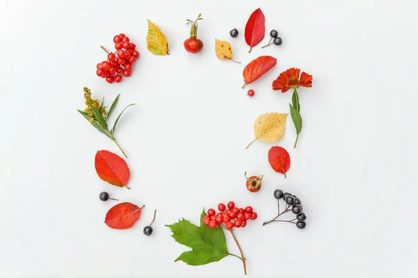 Composition automnale faite de plantes d'automne viorne, baies de rowan de chokeberry, dogrose, feuilles et fleurs sur fond blanc — Photo