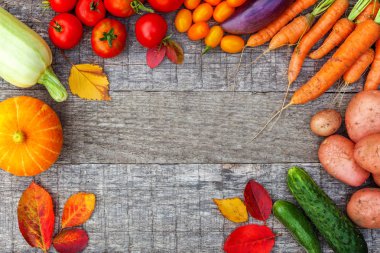 Ülke tarzı ahşap arka planda farklı taze organik sebzeler.