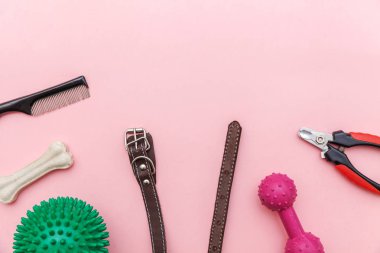 Evcil hayvan bakımı ve hayvan kavramı. Pembe pastel trendy arka plan izole köpek oyun ve eğitim için oyuncaklar ve aksesuarlar