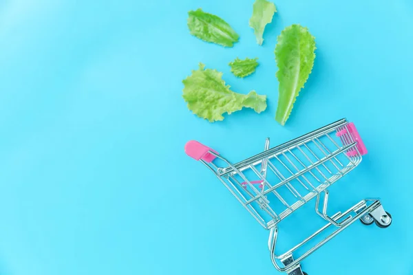 Small supermarket grocery push cart for shopping with green lettuce leaves isolated on blue pastel colorful background