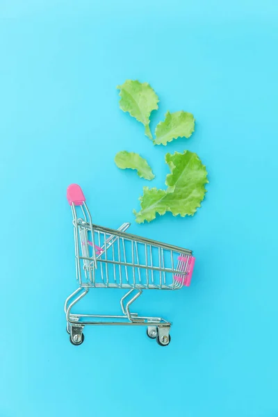 Small supermarket grocery push cart for shopping with green lettuce leaves isolated on blue pastel colorful background