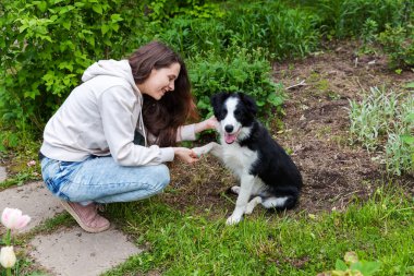 Gülümseyen genç çekici kadın yaz şehir parkı açık arka planda sevimli köpek yavrusu sınır collie sarılma kucaklayan