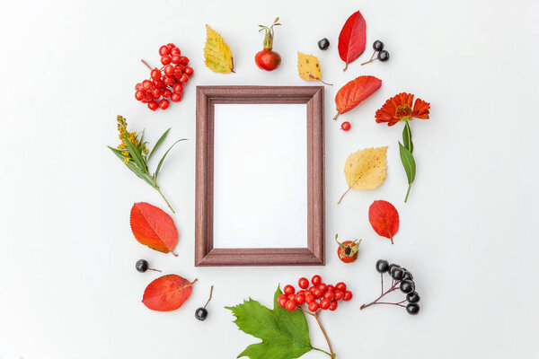 Autumn floral composition. Vertical frame mockup chokeberry rowan berries colorful leaves dogrose flowers on white background