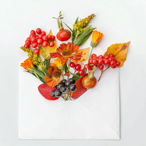 Autumn floral composition. Plants viburnum rowan berries dogrose fresh flowers colorful leaves in mail envelope on white background