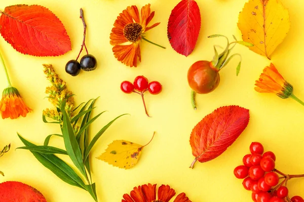 Composition automnale faite de plantes d'automne viorne, baies de rowan, dogrose, feuilles et fleurs sur fond jaune — Photo