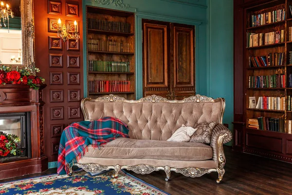 Розкішний класичний інтер'єр домашньої бібліотеки. Вітальня з книжковою полицею, книгами, кріслом для рук, диваном і каміном — стокове фото