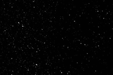 Siyah arka plan üzerinde gerçek beyaz kar taneleri aşağı düşen