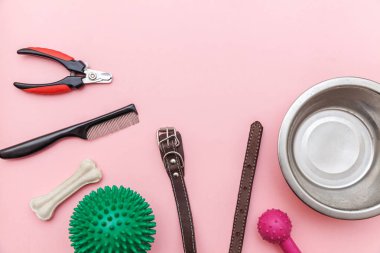 Evcil hayvan bakımı ve hayvan kavramı. Pembe pastel trendy arka plan izole köpek oyun ve eğitim için oyuncaklar ve aksesuarlar