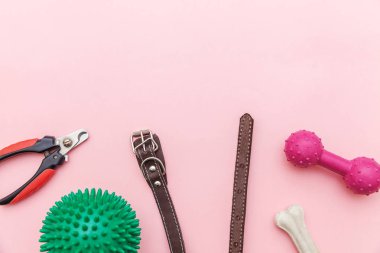 Evcil hayvan bakımı ve hayvan kavramı. Pembe pastel trendy arka plan izole köpek oyun ve eğitim için oyuncaklar ve aksesuarlar