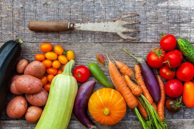 Farklı taze organik sebzeler ve kır tarzı ahşap arka planda bahçe aletleri. Yerel bahçe temiz yiyecek üretiyor.