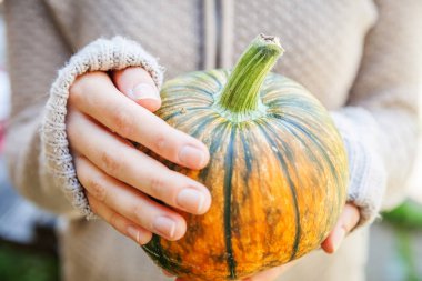 Closeup doğal sonbahar sonbahar görünümü sarı kabak tutan kadın elleri