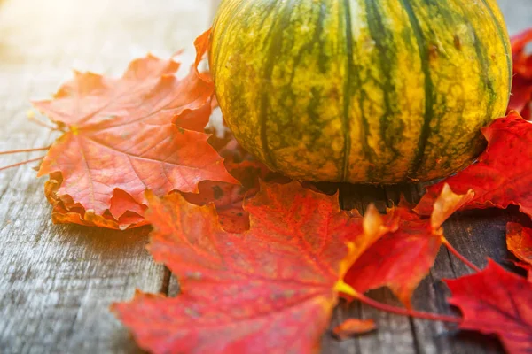 Natürliche Herbst Herbst Ansicht Kürbis und Ahornblätter auf Holz Hintergrund — Stockfoto