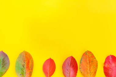 Sonbahar çiçek kompozisyon sarı arka plan üzerinde sonbahar renkli yaprakları yapılmış