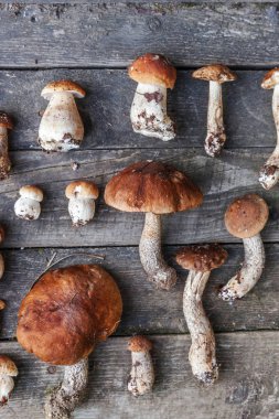 Ahşap koyu rustik masa arka plan üzerinde Çeşitli çiğ yenilebilir mantar Penny Bun Boletus leccinum