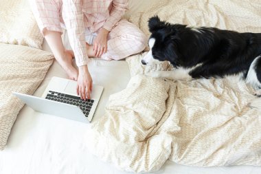Mobil Ofis evde. Evcil köpekle pijamalı genç bir kadın evdeki bilgisayarda çalışıyor. Yaşam tarzı kızı içeride ders çalışıyor. Serbest ticaret karantina kavramı