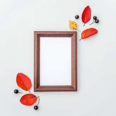 Sonbahar çiçekli kompozisyon. Dikey fotoğraf çerçevesi, beyaz arkaplanda renkli böğürtlen yaprakları. Sonbahar doğal bitkiler ekolojisi yeni duvar kağıdı konsepti. Düz görünüm kopyalama alanı