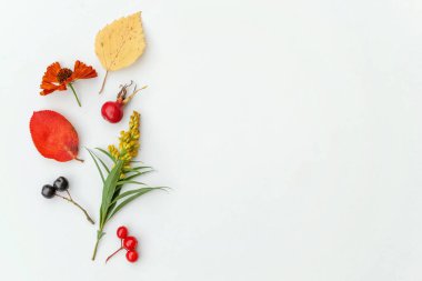 Sonbahar çiçekli kompozisyon. Viburnum rowan üzümü eker. Beyaz arka planda izole edilmiş taze çiçekler. Doğal bitkiler, ekolojik duvar kağıdı konsepti. Düz görünüm kopyalama alanı