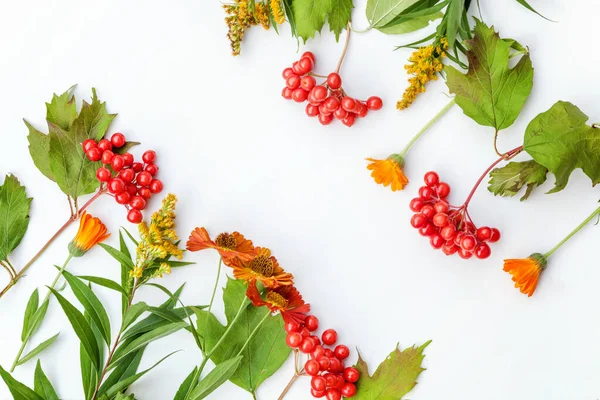 Composition Florale Automne Structure Faite Plantes Automne Viburnum Baies Fleurs — Photo