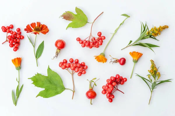 Composition Florale Automne Plantes Viburnum Baies Dogrose Fleurs Orange Jaune — Photo