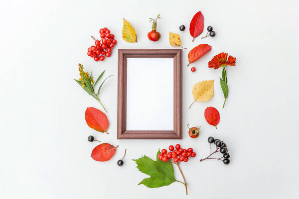 Autumn floral composition. Vertical frame mockup chokeberry rowan berries colorful leaves dogrose flowers on white background. Fall natural plants ecology concept. Flat lay top view copy space