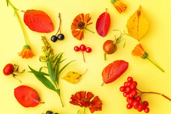 Composition Florale Automne Plantes Viburnum Rowan Baies Dogrose Fleurs Fraîches — Photo