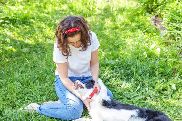 Lachende Jonge Aantrekkelijke Vrouw Spelen Met Schattige Puppy Hond Grens — Stockfoto