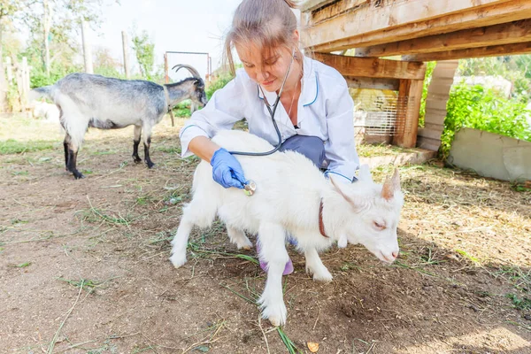 Mladá Veterinární Lékařka Stetoskopem Drží Vyšetřuje Kozí Dítě Ranči Pozadí — Stock fotografie