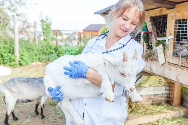 Ung Veterinär Kvinna Med Stetoskop Innehav Och Undersöka Get Unge — Stockfoto