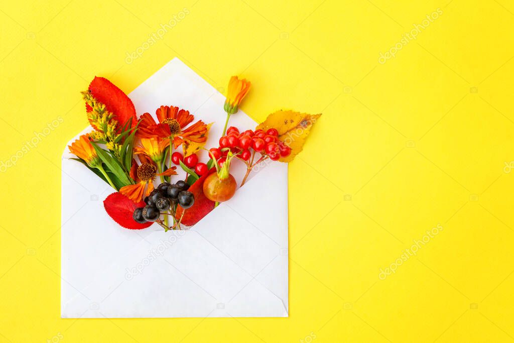 Autumn floral composition. Plants viburnum rowan berries dogrose fresh flowers colorful leaves in mail envelope on yellow background. Fall natural plants ecology concept. Flat lay top view mockup